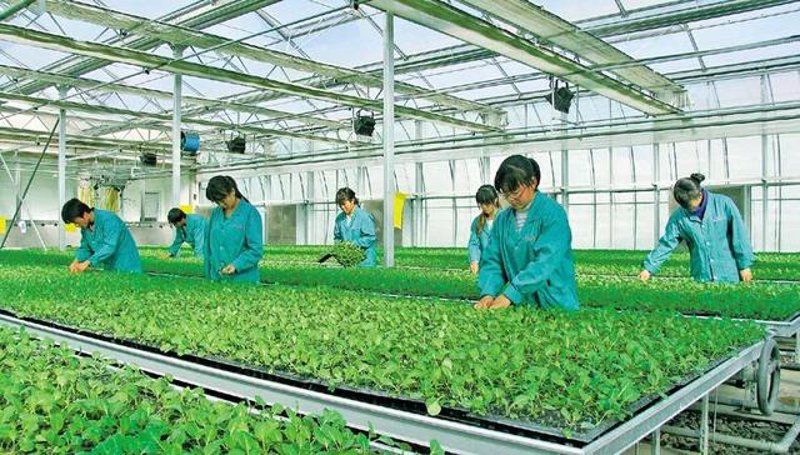 江苏京禾网络科技有限公司：如何在竞争中脱颖而出