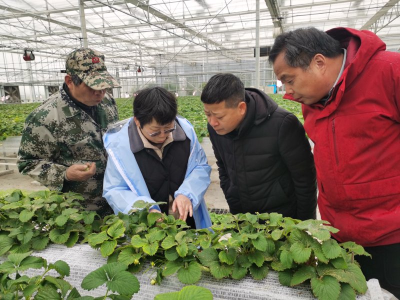 在探讨南京京禾农业发展有限公司的经营范围时，我们首先需要了解农业公司的主要业务方向。从种植业到养殖业，再到农产品加工销售，农业公司的经营领域广泛。