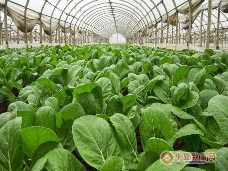 京禾农业机械有限公司怎么样？听听他们怎么说