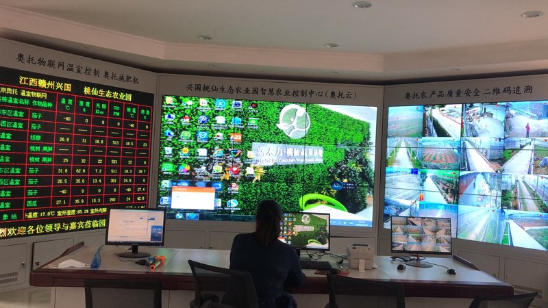 南京京禾农业发展有限公司的经营范围到底包括哪些呢？今天，我们就通过故事化的叙述方式来揭开这家农业公司的神秘面纱。